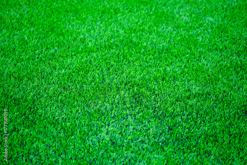 Fototapeta Naklejka Na Ścianę i Meble -  Green grass background.