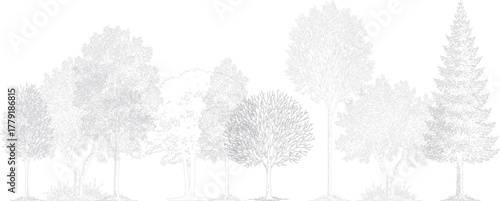 Architectural tree elevation drawing featuring diverse realistic trees. Minimal black and white line art showing natural variety, perfect for poster, banner, web, or digital artwork design use.  
