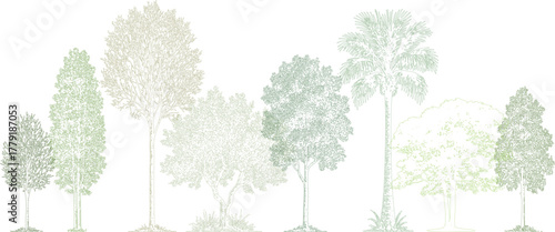 Architectural tree elevation drawing in natural green tones. Realistic hand-drawn collection of tropical and deciduous trees with soft shading, minimal and professional landscape illustration.  
