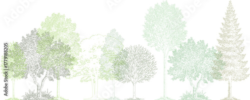 Architectural elevation drawing of diverse trees in soft green gradient. Detailed realistic line art showing tropical and deciduous varieties, minimal and professional landscape illustration.  
