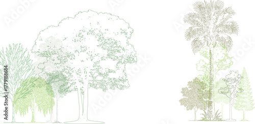 Architectural landscape tree elevation drawing in green tones. Realistic tropical and deciduous tree collection with detailed line art and natural texture, minimal and professional design.  
