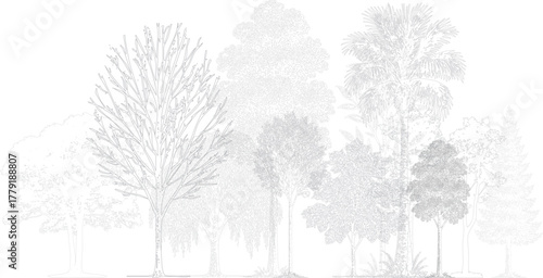Architectural tree elevation drawing featuring diverse realistic trees. Minimal black and white line art showing natural variety, perfect for poster, banner, web, or digital artwork design use.  
