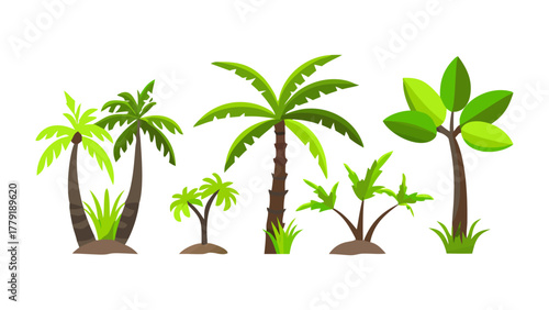 Tropical Foliage: A vibrant collection of lush, tropical trees, showcasing various forms and colors, evokes a sense of paradise. 