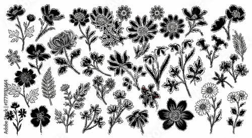 Collection of various floral and botanical illustrations in black and white, including wildflowers, leaves, and ornamental plants