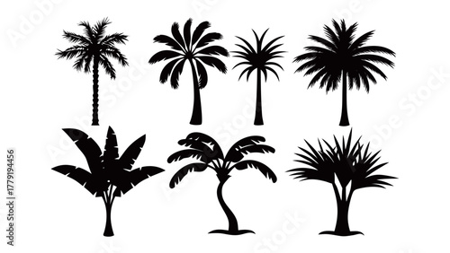 Palm Tree Silhouettes: Artistic renditions of diverse palm trees in stark silhouettes. The intricate designs capture the essence of tropical landscapes.