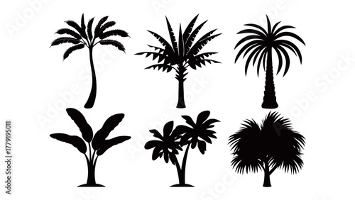 Silhouette of Tropical Trees: A collection of various silhouette of tropical trees, offering a minimalist yet impactful representation of tropical flora.