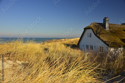 秋草の中の小屋