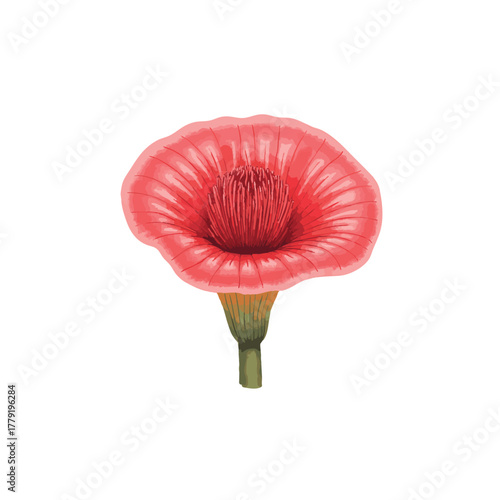 Giant Rafflesia Arnoldii Flower Watercolor Illustration