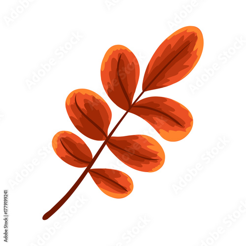 Red and orange autumn leaves on a branch. Vector hand drawn cartoon illustration for seasonal design, greeting cards, packaging decor, sticker, print, web, logo