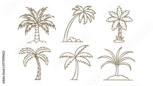 Palm Trees Collection: A series of illustrated palm trees showcasing variety, perfect for tropical themes and design assets.