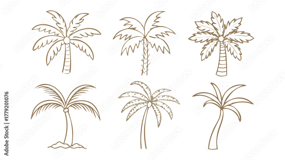 Obraz premium Palm Tree Collection: A series of meticulously crafted illustrations showcase various styles of palm trees, celebrating the iconic silhouette of these tropical flora.