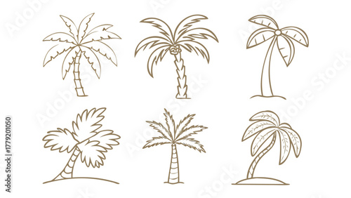 Palm Tree Collection: An assortment of detailed palm tree illustrations, each showcasing unique variations. Perfect for adding a touch of tropical elegance to your designs.
