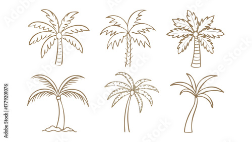 Palm Tree Collection: A series of meticulously crafted illustrations showcase various styles of palm trees, celebrating the iconic silhouette of these tropical flora.