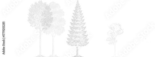 Architectural landscape elevation drawing with detailed tree collection. Realistic black and white line art showing various tropical and deciduous trees in minimal technical style.	