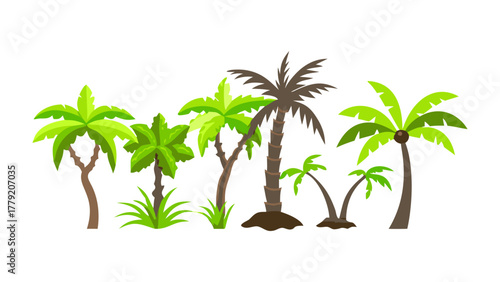 Palm Paradise: A collection of various palm trees, each with unique leaf structures and trunk patterns, creating a vibrant tropical scene.