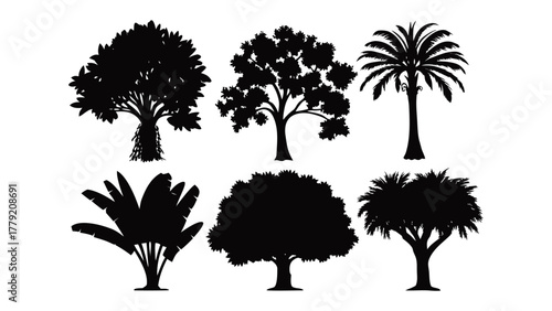 Variety of Tree Silhouettes: A curated collection of diverse tree silhouettes, highlighting a range of shapes and textures, offering visual variety