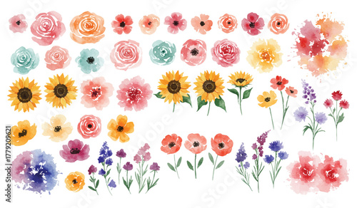Photos A vibrant collection of hand-painted watercolor flowers, featuring an assortment of colorful blossoms, delicate petals, and artistic botanical elements perfect for spring designs and natural themes