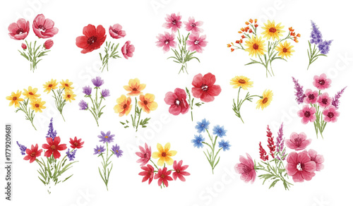 Beautiful Watercolor Floral Bouquets A Collection of Delicate and Vibrant Hand-Painted Flowers in Various Colors and Arrangements for Your Design Needs