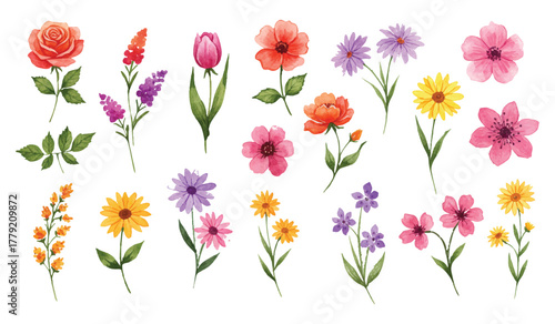 Vibrant Watercolor Floral Collection A Blooming Bouquet of Delicate Flowers for Artistic Designs and Springtime Celebrations