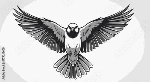 Illustration of a bird with outstretched wings, viewed from the front.