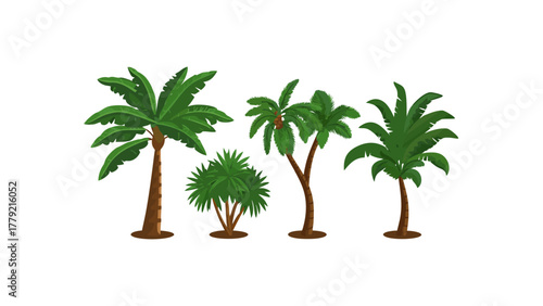 Tropical Palm Trees: This image presents a collection of tropical palm trees with lush green fronds and sturdy trunks. They stand isolated, suggesting a vibrant tropical setting.