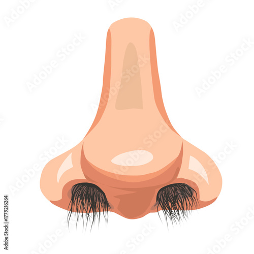 Nose Anatomy with Nasal Hair Vector