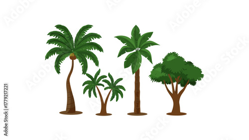 Tropical Trees: A collection of various palm trees, each with unique leaf structures and trunk patterns, evoking the feeling of warm, sunny tropical landscapes.