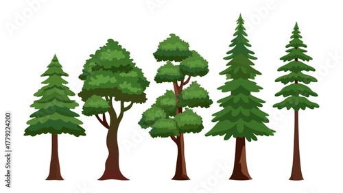 Forest Variety: A vibrant illustration showcasing an array of trees, each uniquely shaped with lush, green foliage and sturdy trunks. 