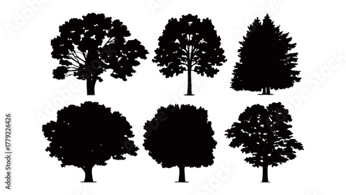 Silhouette Symphony: A collection of various trees stand as silent silhouettes against the horizon, showcasing intricate branching patterns and unique shapes.