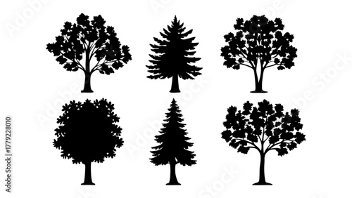 Silhouettes of Nature's Sentinels: A collection of various tree silhouettes, meticulously crafted to showcase the diverse forms and textures found within the realm of nature. 