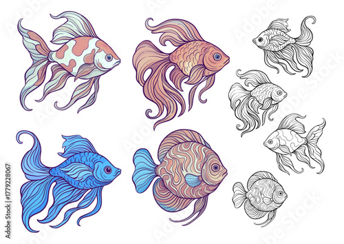 Set of ornamental aquarium fish including goldfish, koi, betta and discus in vector illustration and outline. Elegant flowing fins, detailed scales and decorative patterns for aquatic life designs,