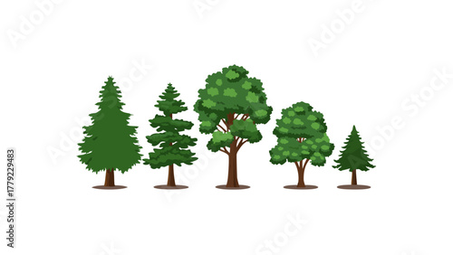 Array of Diverse Trees in a Row: A collection of various trees stand side by side, showcasing their unique shapes, textures, and foliage, forming a green canopy with natural freshness.