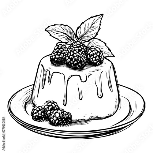 Hand-Drawn Panna Cotta with Berries Vector Illustration – Dessert Sketch