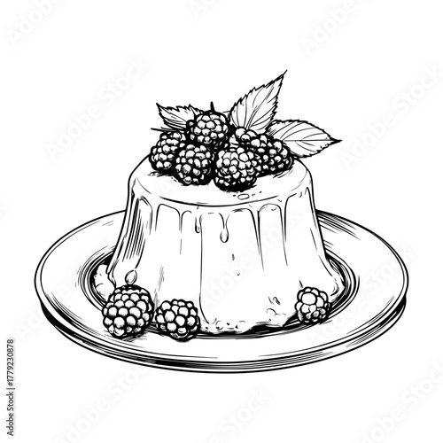 Hand-Drawn Panna Cotta with Berries Vector Illustration – Dessert Sketch