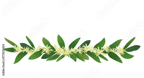 Anise Flowers with green leaves garland