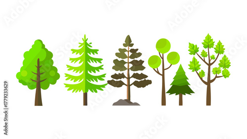 Variety of Trees in Nature: A collection of diverse tree illustrations showcasing the beautiful variety of nature. Highlighting the different shapes and sizes of trees.