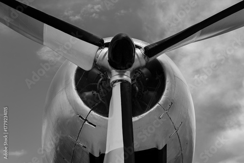 Aircraft Propeller Blades in Black and White
