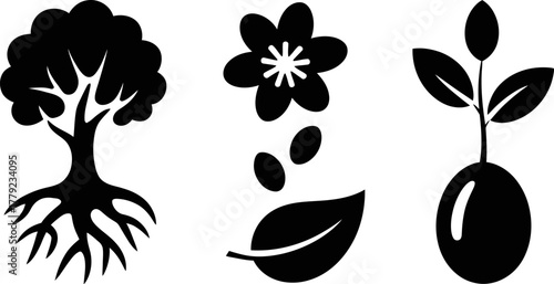 Life cycle of a plant depicted with simple, symbolic icons of a tree, seed, and sprout.