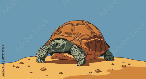Vector illustration of a desert tortoise on sand, blue sky background