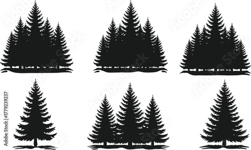 Pine tree forest silhouette collection, evergreen woodland vector design, nature landscape illustration, outdoor scenery art, black conifer trees graphic, wilderness background pattern