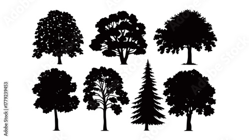 Variety of Tree Silhouettes: A curated collection of diverse tree silhouettes, presenting the elegant simplicity of nature's forms, perfect for design needs.