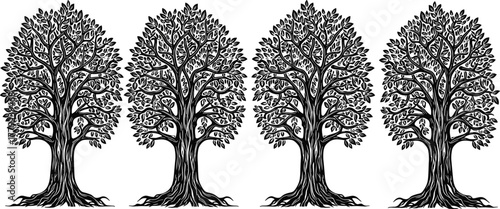 Set of decorative tree illustrations, detailed black and white vector trees with leaves and roots, nature design, botanical artwork, vintage engraving, forest elements, organic art