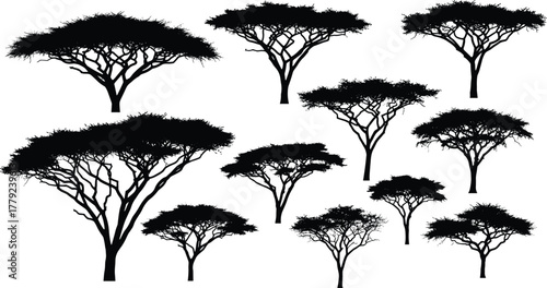 Papier peint Silhouette of African acacia trees, savanna landscape illustration, safari natur