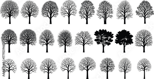 Silhouette of deciduous trees, forest tree collection, nature vector illustration, black tree design, woodland landscape art, seasonal tree shapes, botanical background
