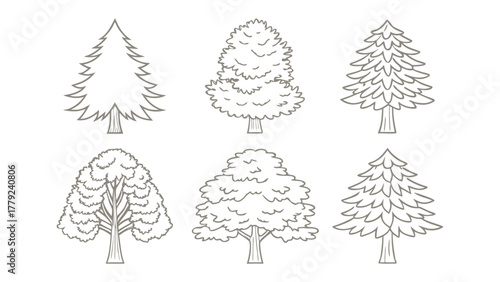 Varied Tree Lineup: A collection of six meticulously rendered line-art illustrations of diverse tree species, showcasing their unique forms and intricate details, inviting a closer look.