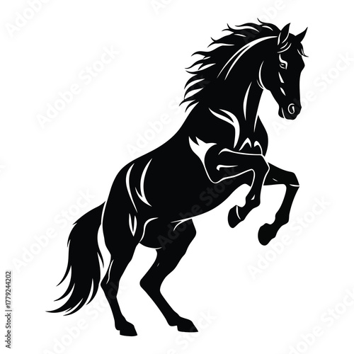 Majestic black horse rearing up powerfully, a symbol of freedom and strength for your branding or designs needing a bold, dynamic touch