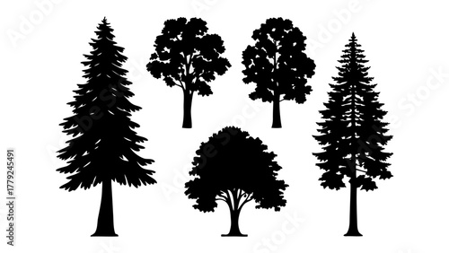Evergreen and Deciduous Silhouette: A collection of various tree silhouettes, depicting evergreen conifers alongside deciduous trees, presenting the elegance of nature's botanical variety.