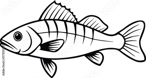 smallmouth bass outline vector for fishing and nature design