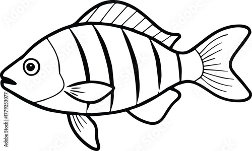 snapper fish outline vector for seafood and marine life design