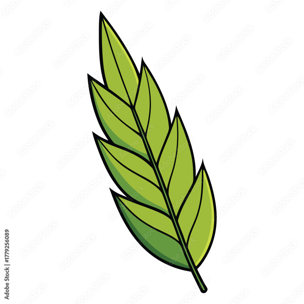 Naklejka premium willow leaf vector for botanical and nature design